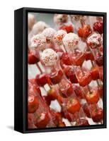 Candy Apples, Kunming, Yunnan, China-Porteous Rod-Framed Stretched Canvas