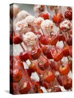 Candy Apples, Kunming, Yunnan, China-Porteous Rod-Stretched Canvas