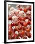 Candy Apples, Kunming, Yunnan, China-Porteous Rod-Framed Photographic Print