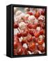 Candy Apples, Kunming, Yunnan, China-Porteous Rod-Framed Stretched Canvas