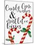 Candy Cane Wishes-Ann Bailey-Mounted Art Print