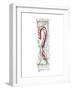 Candy Cane-Stacy Milrany-Framed Art Print