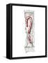 Candy Cane-Stacy Milrany-Framed Stretched Canvas