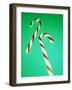 Candy Canes-Lawrence Lawry-Framed Photographic Print