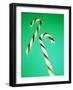 Candy Canes-Lawrence Lawry-Framed Photographic Print