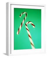 Candy Canes-Lawrence Lawry-Framed Photographic Print