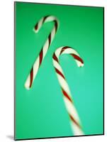 Candy Canes-Lawrence Lawry-Mounted Photographic Print