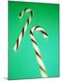 Candy Canes-Lawrence Lawry-Mounted Photographic Print