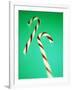 Candy Canes-Lawrence Lawry-Framed Photographic Print