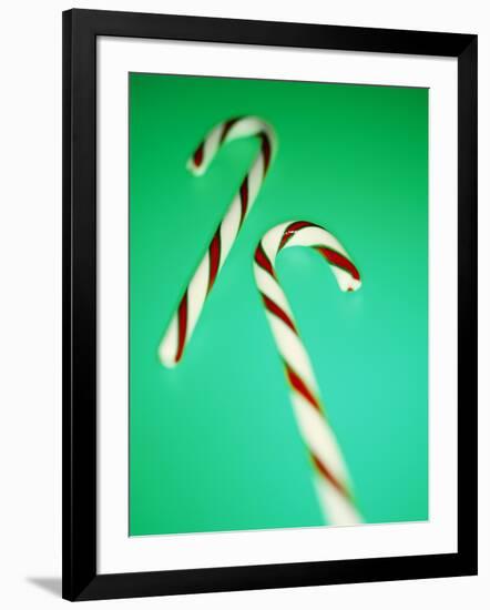 Candy Canes-Lawrence Lawry-Framed Photographic Print