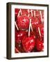 Candy Coated Fruit at the Stuttgart Beer Festival, Cannstatter Wasen, Stuttgart, Germany-Michael DeFreitas-Framed Photographic Print