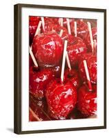 Candy Coated Fruit at the Stuttgart Beer Festival, Cannstatter Wasen, Stuttgart, Germany-Michael DeFreitas-Framed Photographic Print