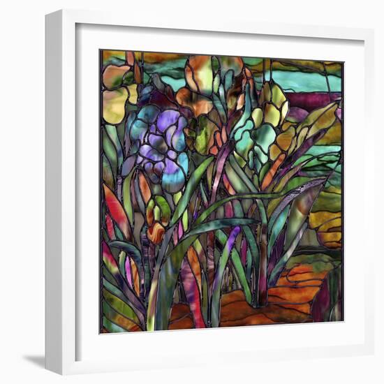 Candy Coated Irises-Mindy Sommers-Framed Giclee Print