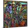 Candy Coated Irises-Mindy Sommers-Mounted Giclee Print