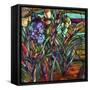 Candy Coated Irises-Mindy Sommers-Framed Stretched Canvas