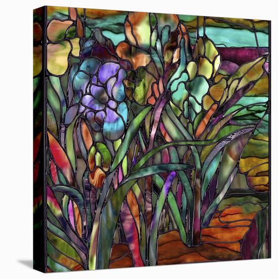 Candy Coated Irises-Mindy Sommers-Stretched Canvas
