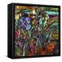 Candy Coated Irises-Sasha-Framed Stretched Canvas