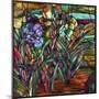 Candy Coated Irises-Sasha-Mounted Giclee Print