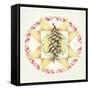 Candy Cone-Deborah Kopka-Framed Stretched Canvas