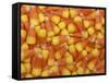 Candy Corn, Washington, USA-Jamie & Judy Wild-Framed Stretched Canvas