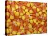 Candy Corn, Washington, USA-Jamie & Judy Wild-Stretched Canvas