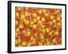 Candy Corn, Washington, USA-Jamie & Judy Wild-Framed Photographic Print