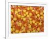 Candy Corn, Washington, USA-Jamie & Judy Wild-Framed Photographic Print