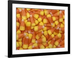Candy Corn, Washington, USA-Jamie & Judy Wild-Framed Photographic Print