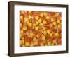 Candy Corn, Washington, USA-Jamie & Judy Wild-Framed Photographic Print