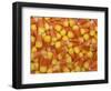 Candy Corn, Washington, USA-Jamie & Judy Wild-Framed Photographic Print