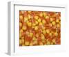 Candy Corn, Washington, USA-Jamie & Judy Wild-Framed Photographic Print