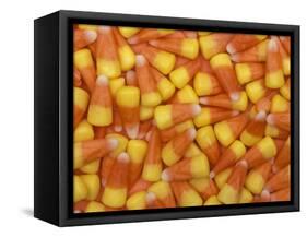 Candy Corn, Washington, USA-Jamie & Judy Wild-Framed Stretched Canvas