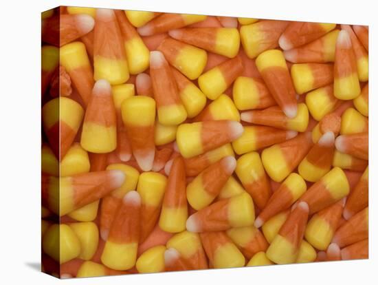 Candy Corn, Washington, USA-Jamie & Judy Wild-Stretched Canvas