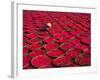 Candy Drying in Baskets, Vietnam-Keren Su-Framed Photographic Print