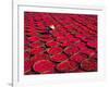 Candy Drying in Baskets, Vietnam-Keren Su-Framed Photographic Print