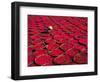 Candy Drying in Baskets, Vietnam-Keren Su-Framed Photographic Print