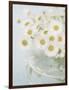 Candy Flowers I-Shana Rae-Framed Giclee Print