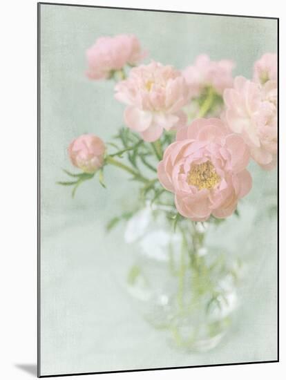 Candy Flowers II-Shana Rae-Mounted Giclee Print