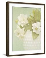 Candy Flowers III-Shana Rae-Framed Giclee Print