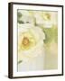 Candy Flowers IV-Shana Rae-Framed Giclee Print