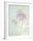 Candy Flowers V-Shana Rae-Framed Giclee Print