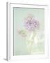 Candy Flowers V-Shana Rae-Framed Giclee Print