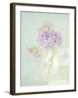 Candy Flowers V-Shana Rae-Framed Giclee Print