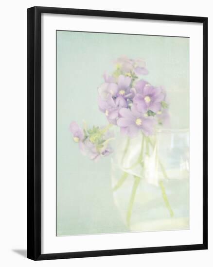 Candy Flowers V-Shana Rae-Framed Giclee Print