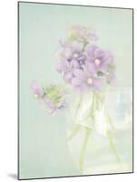 Candy Flowers V-Shana Rae-Mounted Giclee Print