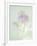 Candy Flowers V-Shana Rae-Framed Giclee Print
