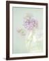 Candy Flowers V-Shana Rae-Framed Giclee Print