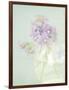 Candy Flowers V-Shana Rae-Framed Giclee Print