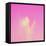 Candy Geyser-Matt Crump-Framed Stretched Canvas