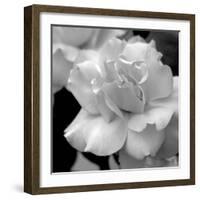 Candy Rose-Nicole Katano-Framed Photo